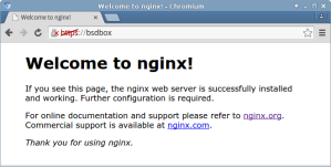 Welcome to nginx! - Chromium_050